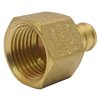 Apollo Pex 1/2 in. Brass PEX Barb x 1/2 in. Female Pipe Thread Adapter (5-Pack), 5PK APXFA12125PK